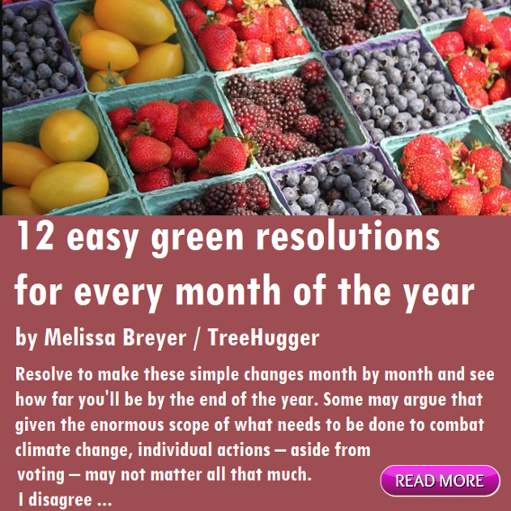 12 easy green resolutions for every month of the year