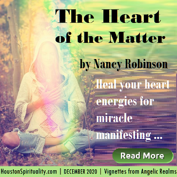The Heart of the Matter by Nancy Robinson. dec 2020
