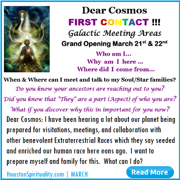 Dear Cosmos First Contact Meeting