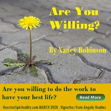 Are You Willing by Nancy Robinson, March HSM