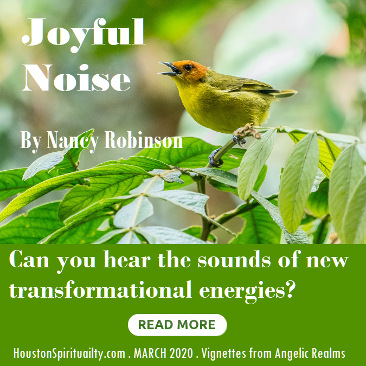 Joyful Noise by Nancy Robinson March HSM