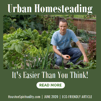 Urban Homesteading