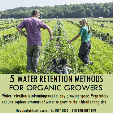 5 Water Retention Methods for Organic Growers. Eco Friendly Article Aug 2020