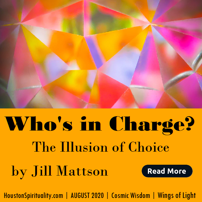 Who's in Charge? The Illusion of CHoice by Jill Mattson