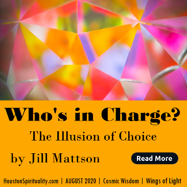 Who's in Charge? The Illusion of Choice by Jill Mattson. Augu 2020