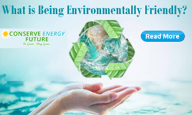 What is Being Environmentally Friendly?
