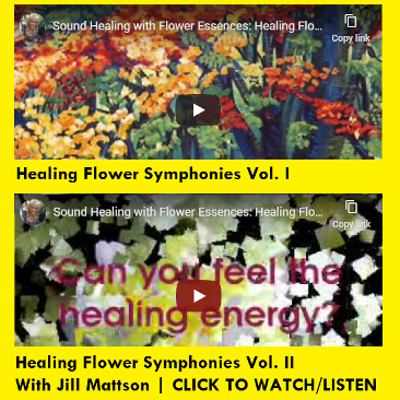 Healing Flower Symphonies I & II by Jill Mattson