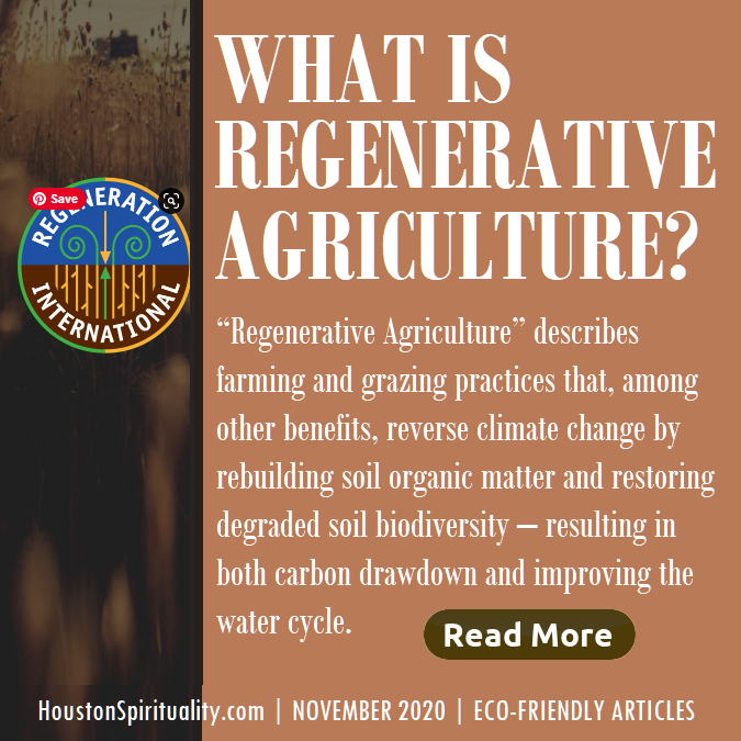 What is regenerative agriculture? Eco-friendly