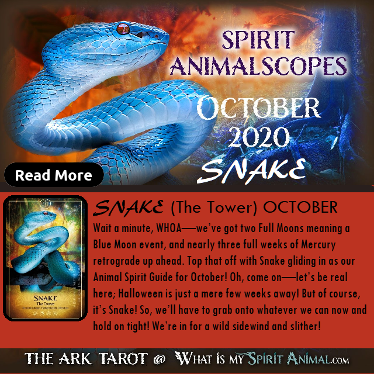 Spirit Animal Scopes for current month coming soon.