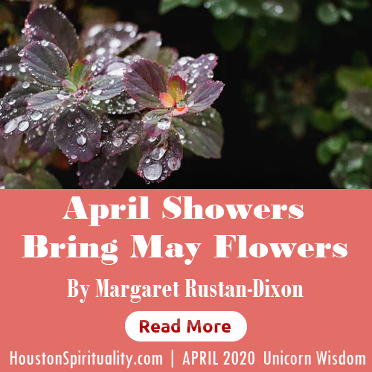April Showers Bring May Flowers by Margaret Rustan Dixon