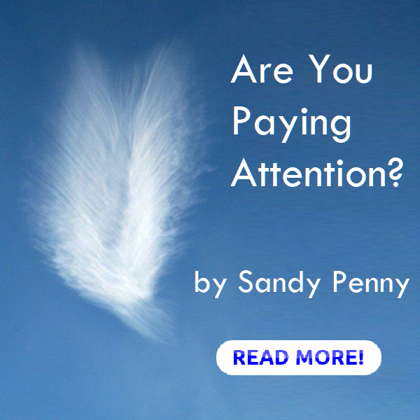 Are You Paying Attention? Messages from Beyond by Sandy Penny