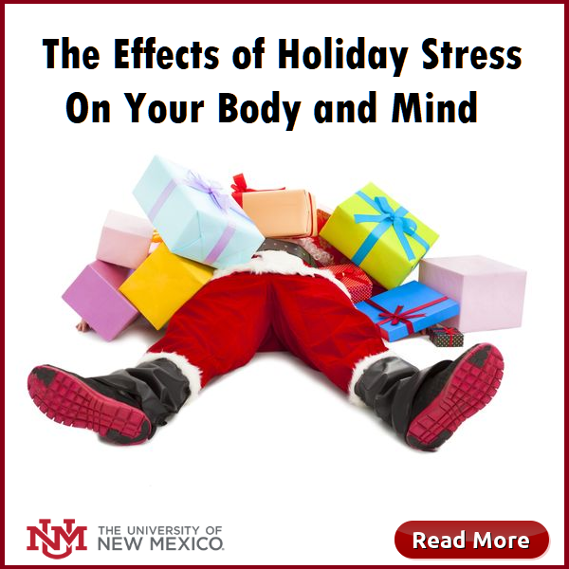 Effects of Holiday Stress. Healthy Body. HSM December