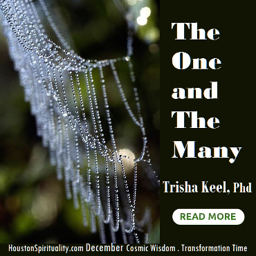 The One and The Many by Trisha Keel. Dec Cosmic Wisdom. HSM Transformation Time