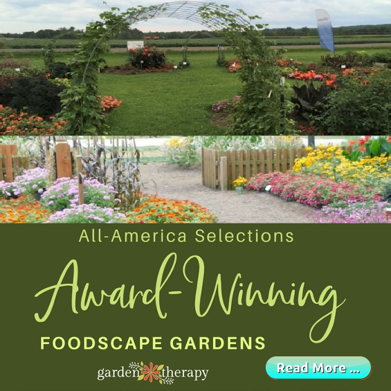 Award Winning Foodscape Gardens
