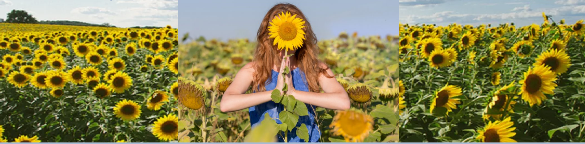 The Face of the Sunflowers, Healthy Body August 2019