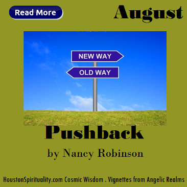 Pushback by Nancy Robinson