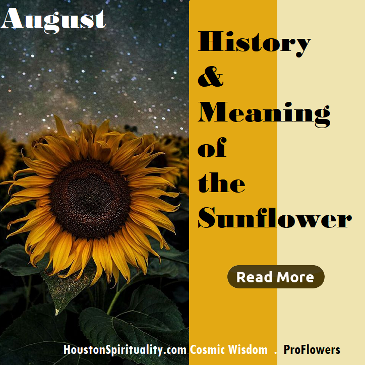 History & Meaning of The Sunflower by ProFlowers