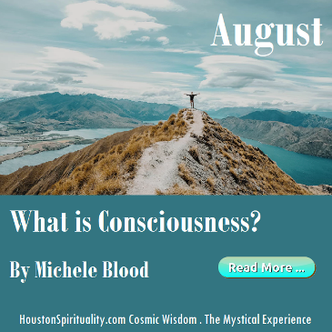 What is Consciousness by Michele Blood