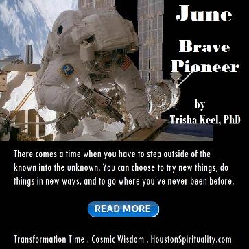 Brave Pioneer by Trisha Keel PhD