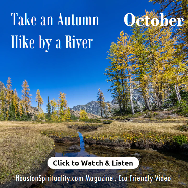 Take an Autumn Hike by a River Video. Watch & Listen.  HSM Eco Friendly October