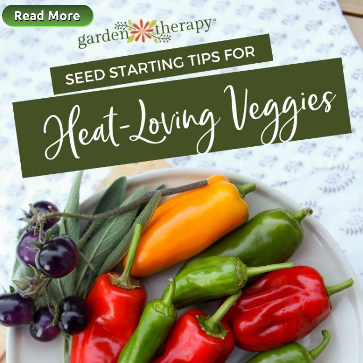 Seed starting tips for Heat Loving Veggies . Garden Therapy . Eco-Friendly