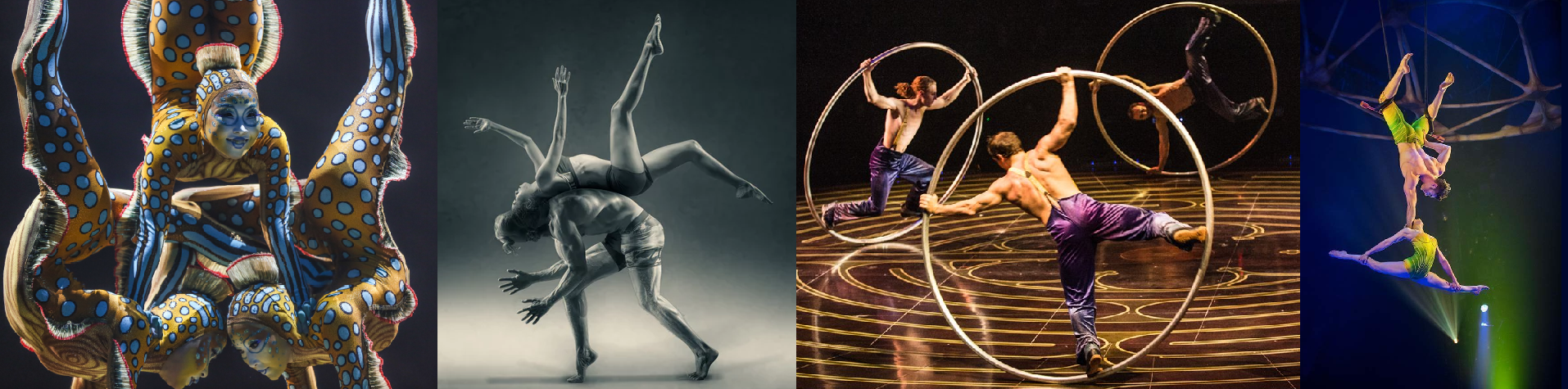 Cirque du Soleil site and tickets link banner
