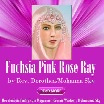 Fuchsia Pink Rose Ray by Dorothea Mohanna Sky.