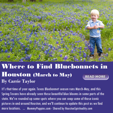 Where to Find Bluebonnets in Houston this Spring