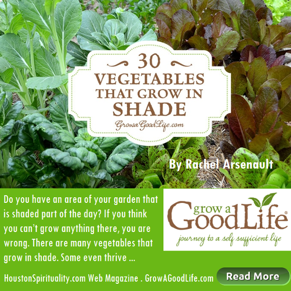 Vegetables that grow in the shade . eco friendly april HSM click