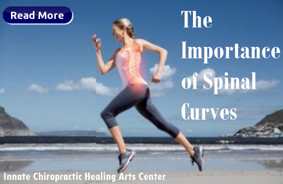 The Important of Spinal Curves by Innate Chiropractic Healing Arts Center