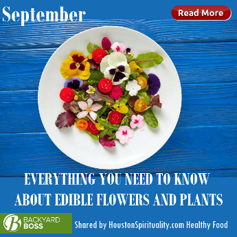 Everything you need to know about edible flowers and plants.