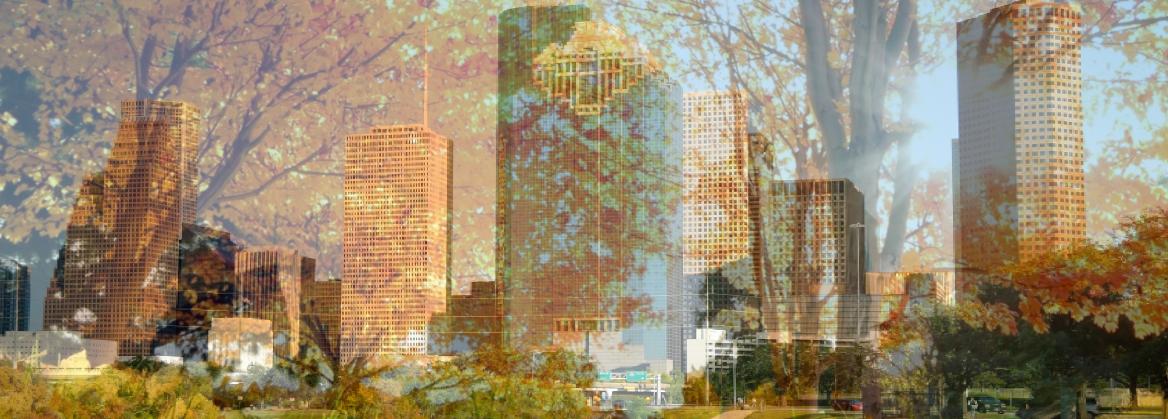 Houston Skyline superimposed on a Galveston Scene