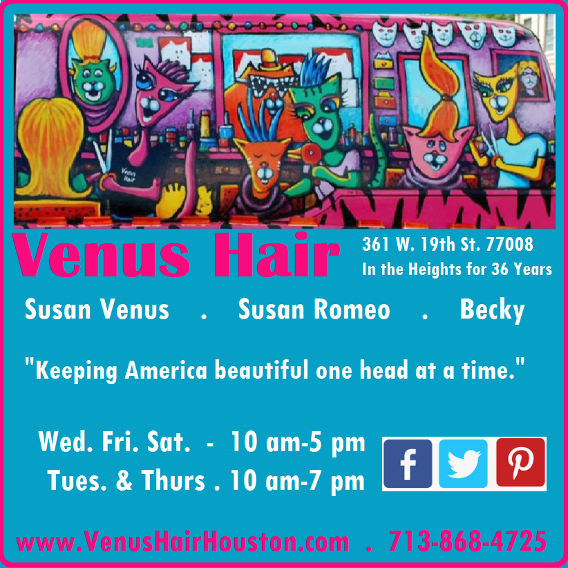 Venus Hair Salon Houston 