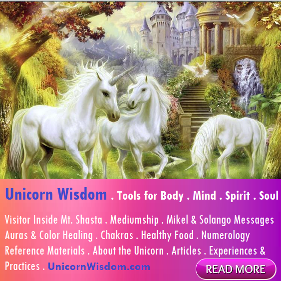 Unicorn Wisdom for the body mind spirit soul