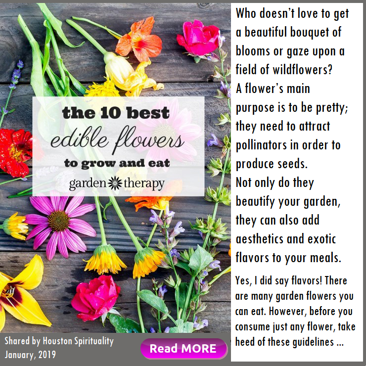 The 10 Best Edible Flowers to grow and eat, Garden Therapy