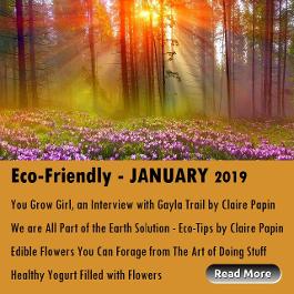 Eco-Friendly January 2019 articles