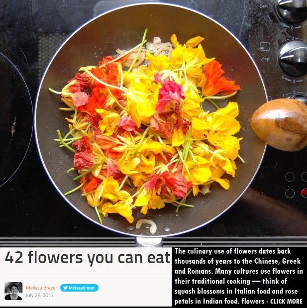 Treehugger, 42 Flowers you can eat