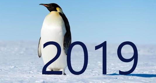 Jackie St.Cyr 2019 Penguin Pic for Ad