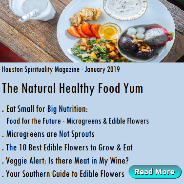 Healthy Food Yum List of articles