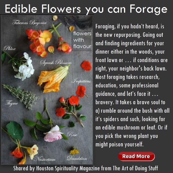 Edible Flowers you can Forage