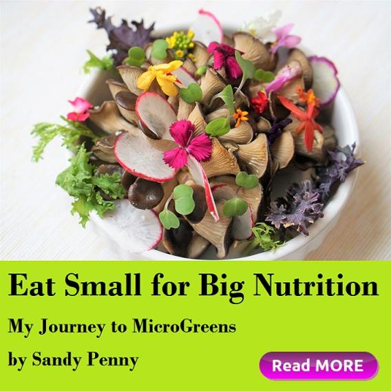 Eat Small for Big Nutrition, My Journey to MicroGreens by Sandy Penny, Houston Spirituality Healthy Food January