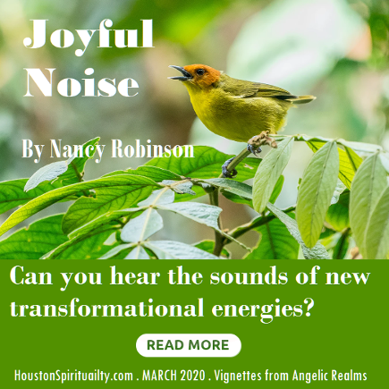Joyful Noise by Nancy Robinson