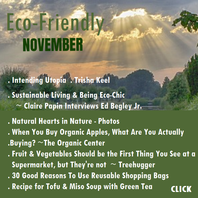 Eco-Friendly NOVEMBER