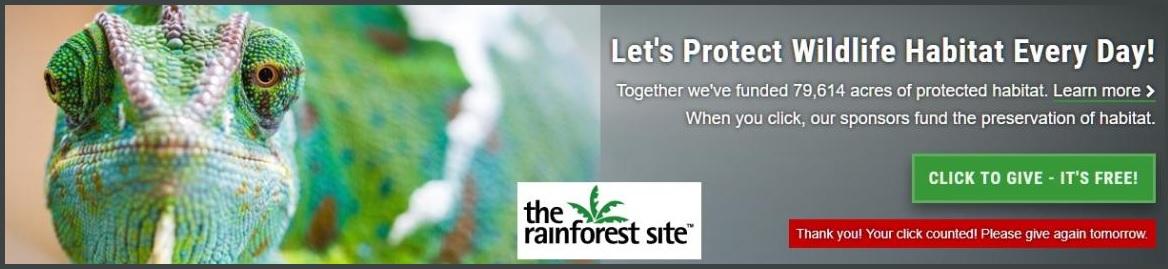 Save the Rainforest